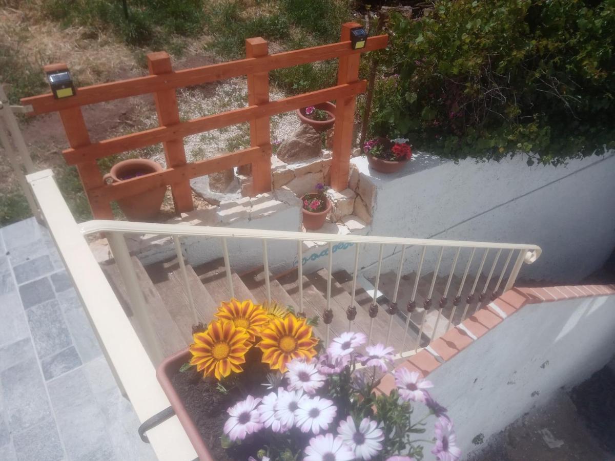B&B Bella Vista Dorgali Ngoại thất bức ảnh