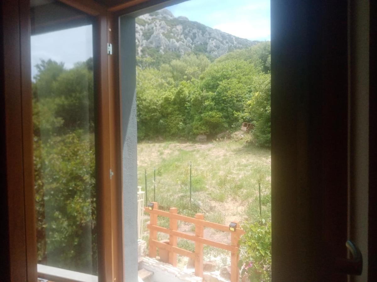 B&B Bella Vista Dorgali Ngoại thất bức ảnh