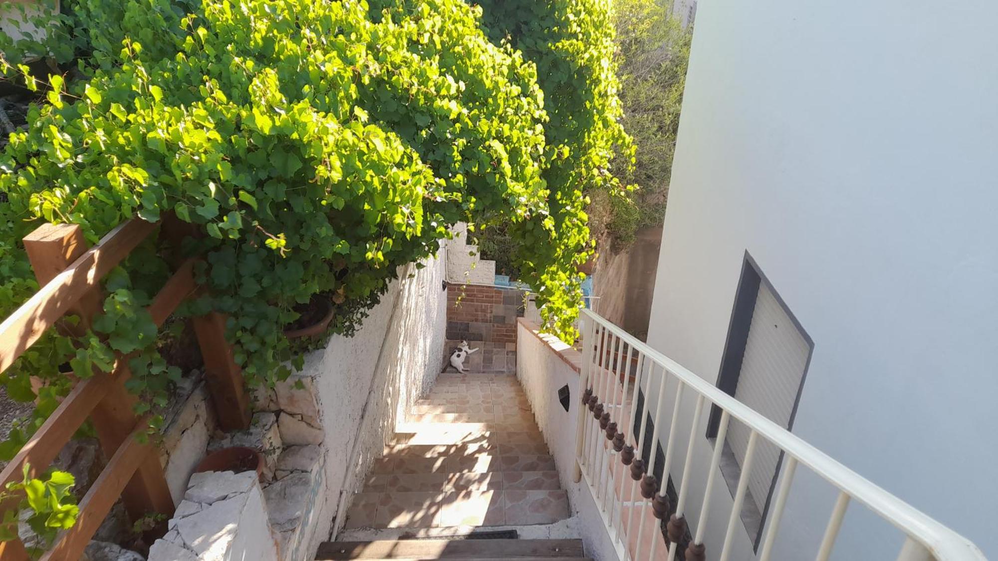 B&B Bella Vista Dorgali Ngoại thất bức ảnh